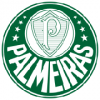 Palmeiras Trøje