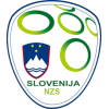 Slovenien Trøje